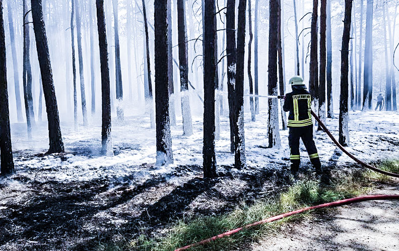 Feuerwehrmann löscht einen Waldbrand mit Schaum