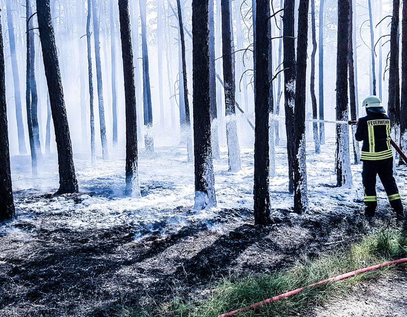 Feuerwehrmann löscht einen Waldbrand mit Schaum
